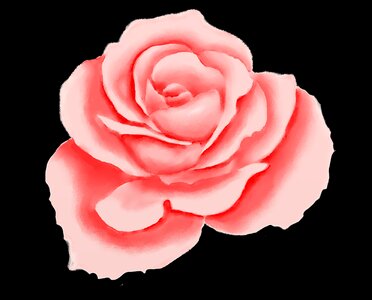 Painted painting flowers