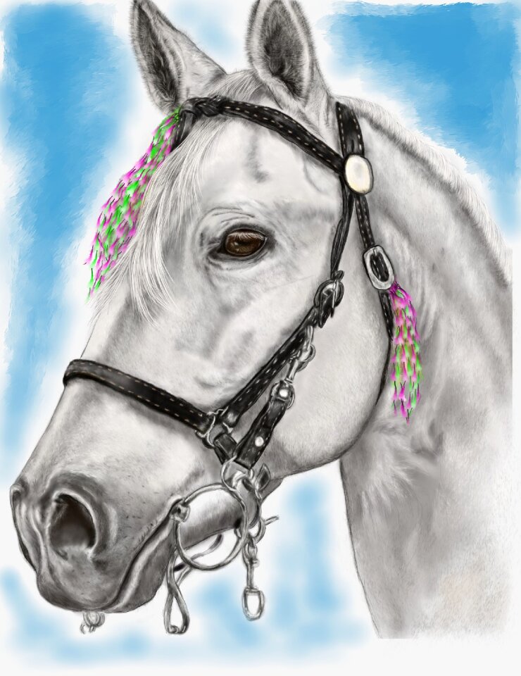 Digital artwork drawing art