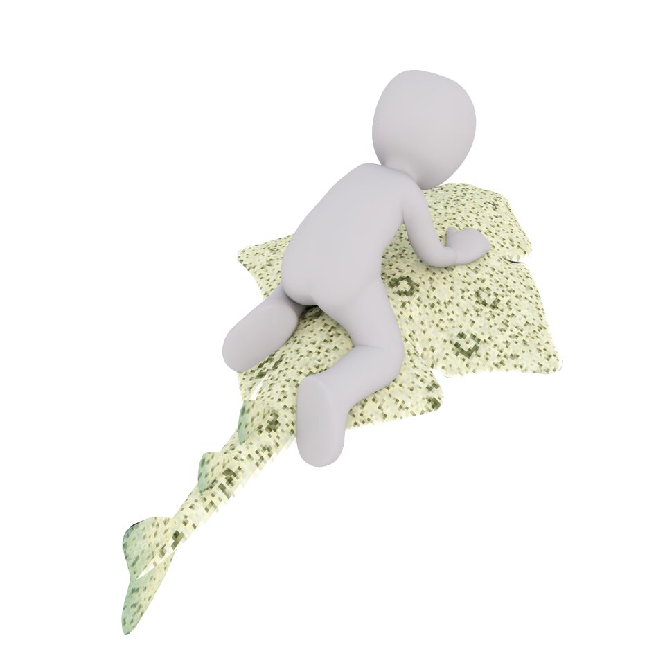 3d model full body