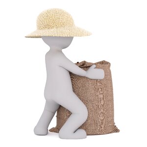 Coneflower field straw hat