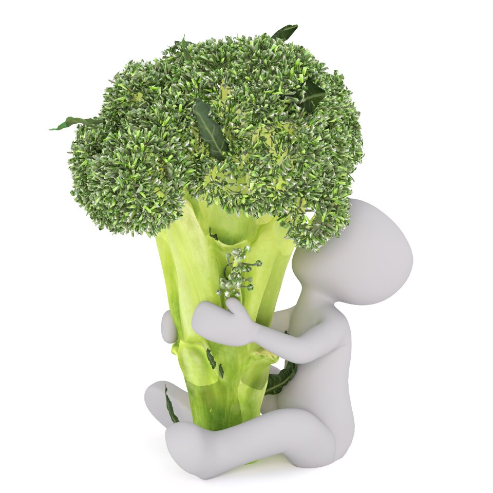 Raw food healthy cook