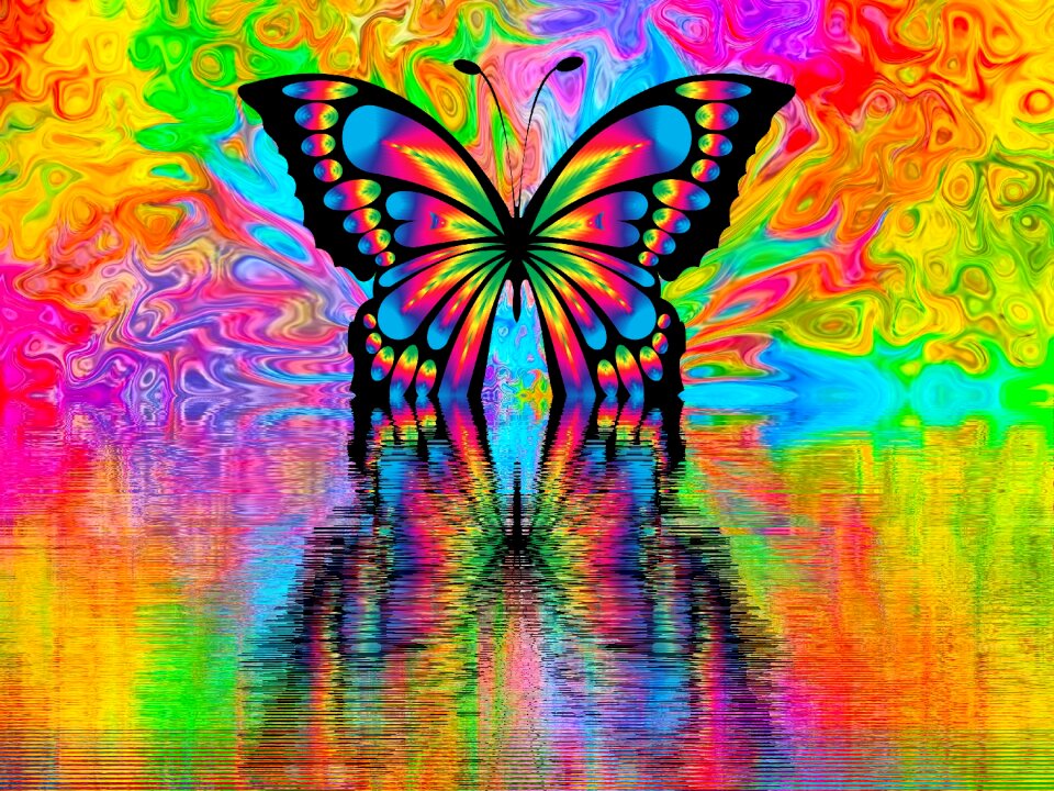 Nature colorful Free illustrations
