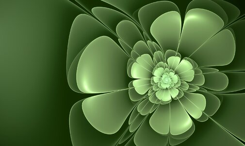 Fantasy blossom clover
