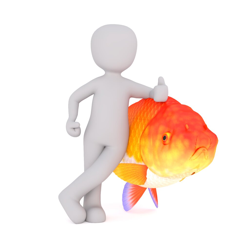 3d model full body