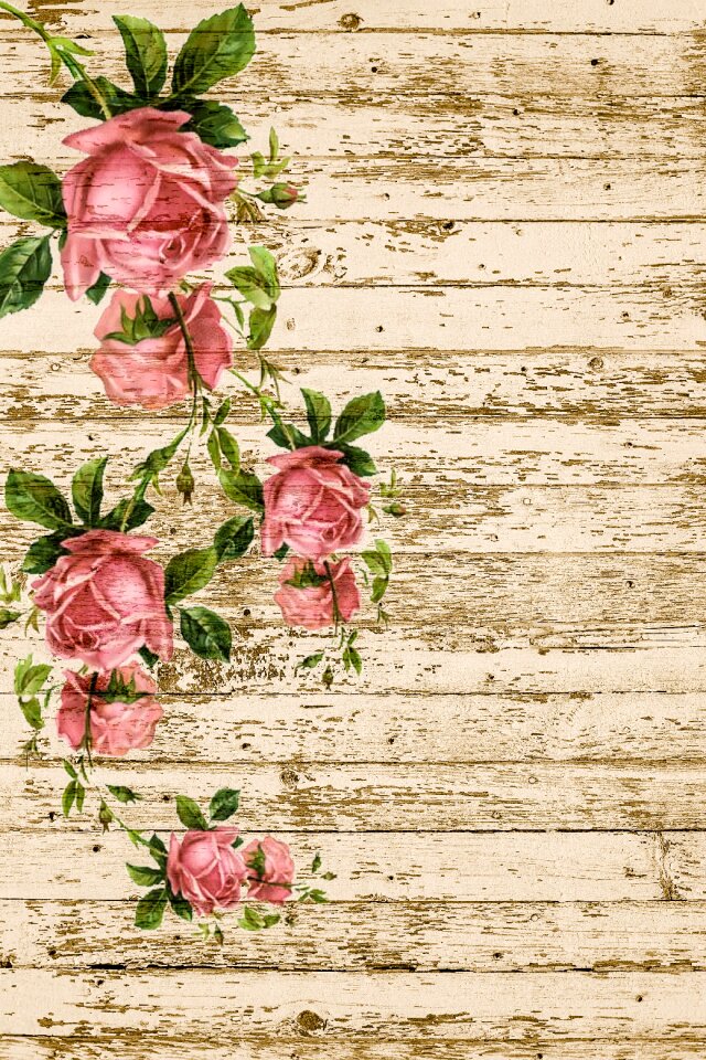 Ranke romantic vintage