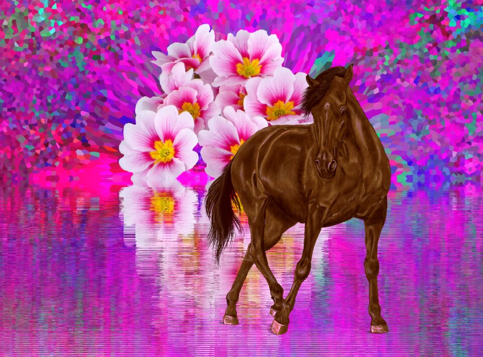 Horse digital art Free illustrations