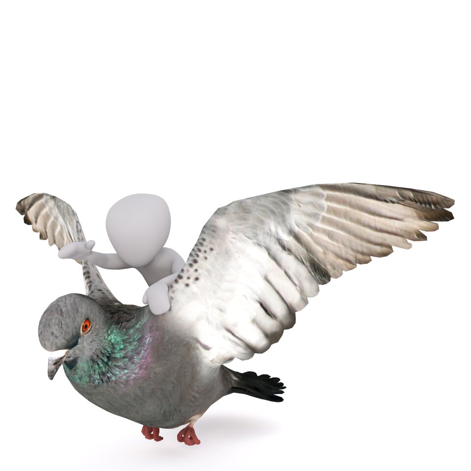 3d model full body
