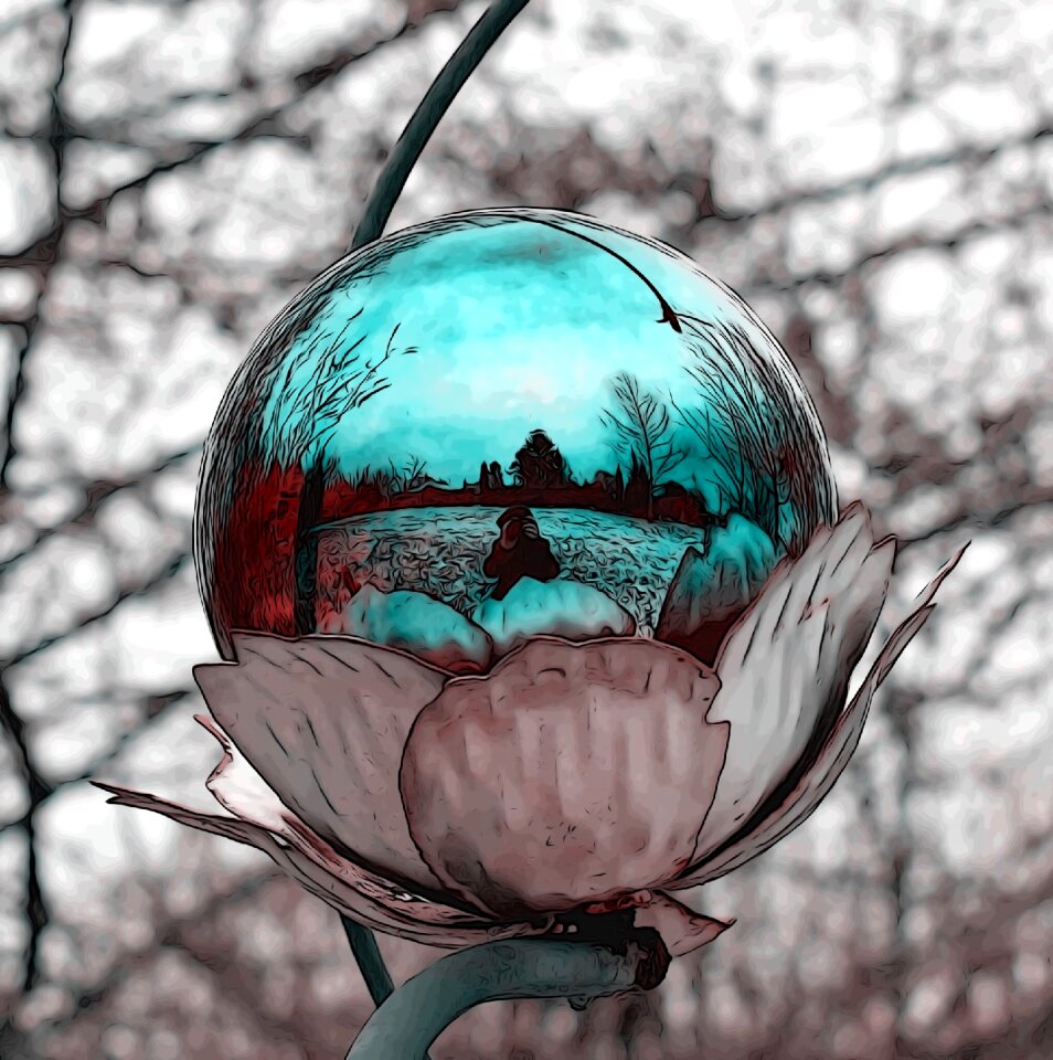 Mirroring nature Free illustrations