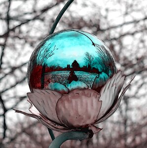 Mirroring nature Free illustrations