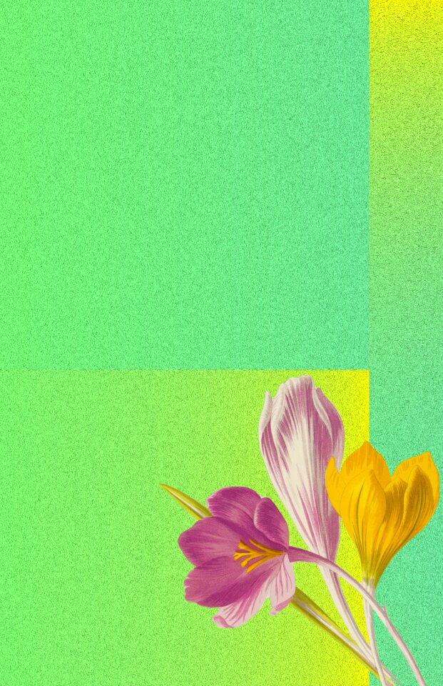 Bloom background image texture