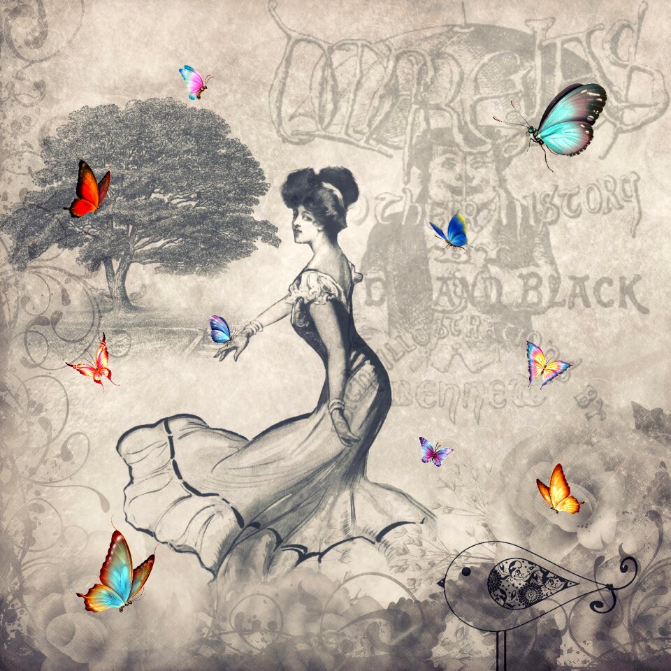 Woman butterflies Free illustrations