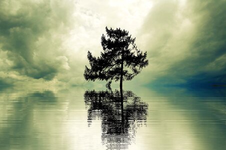Landscape abandoned rest