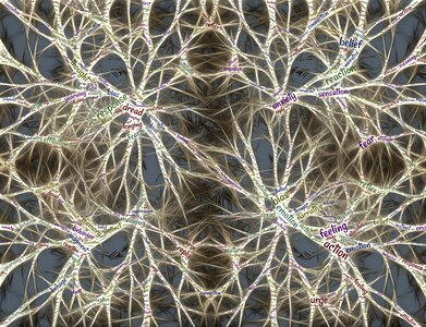 Mindset neuroscience thoughts