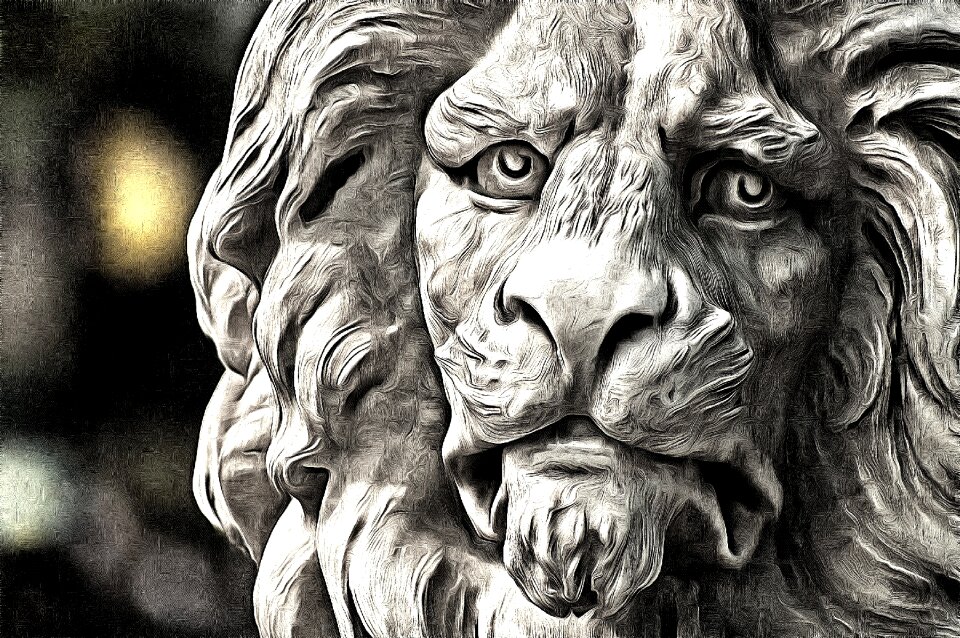 Lion nature Free illustrations