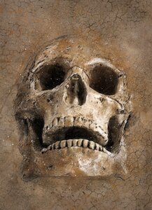 Texture scrapbook skull