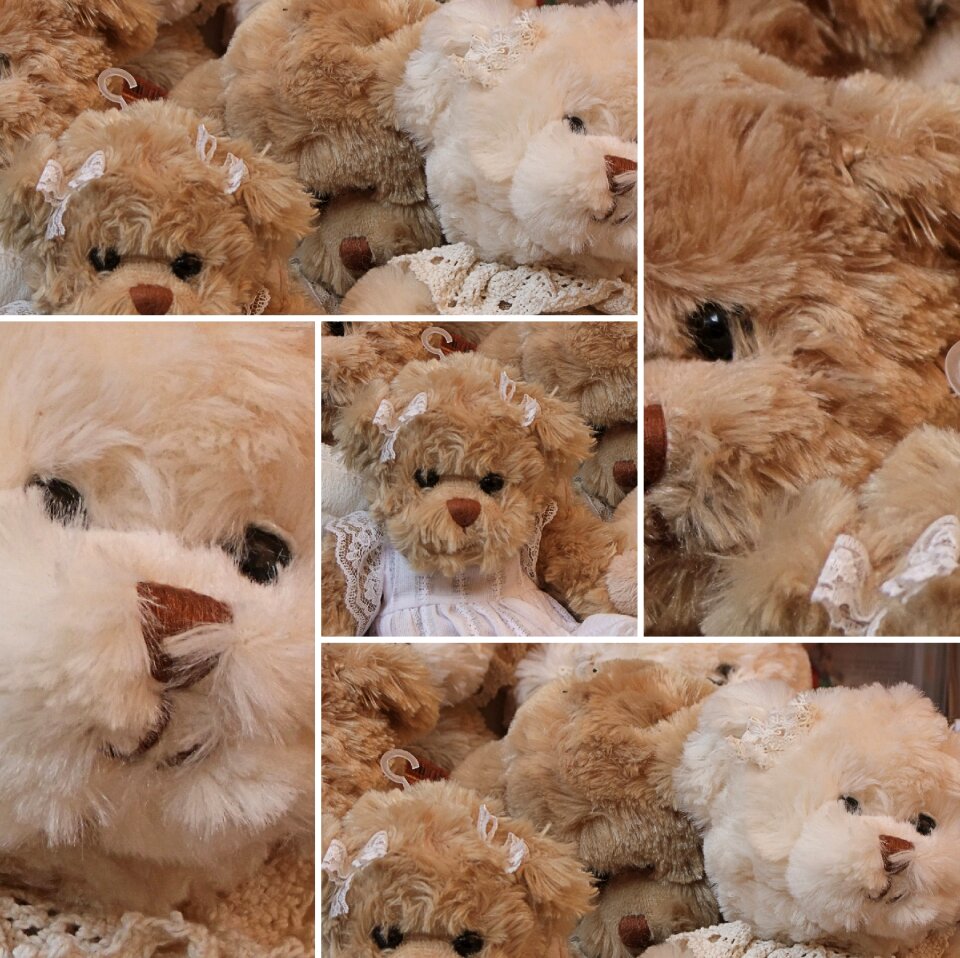 Teddy soft toys children toys