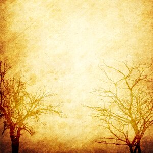 Scrapbook vintage texture