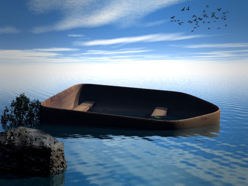 Sky water bird