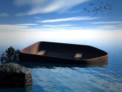Sky water bird
