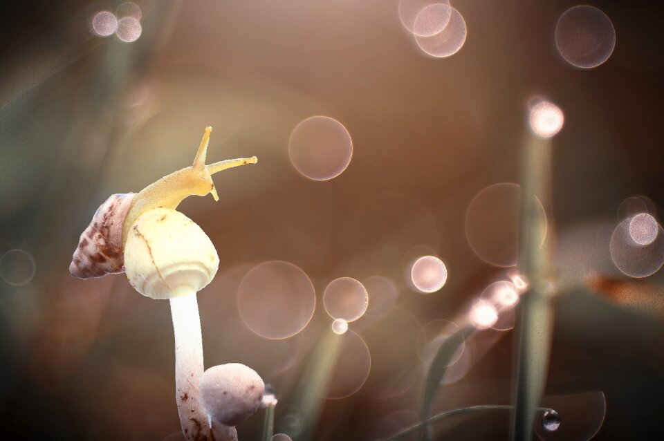 Wait bokeh Free illustrations