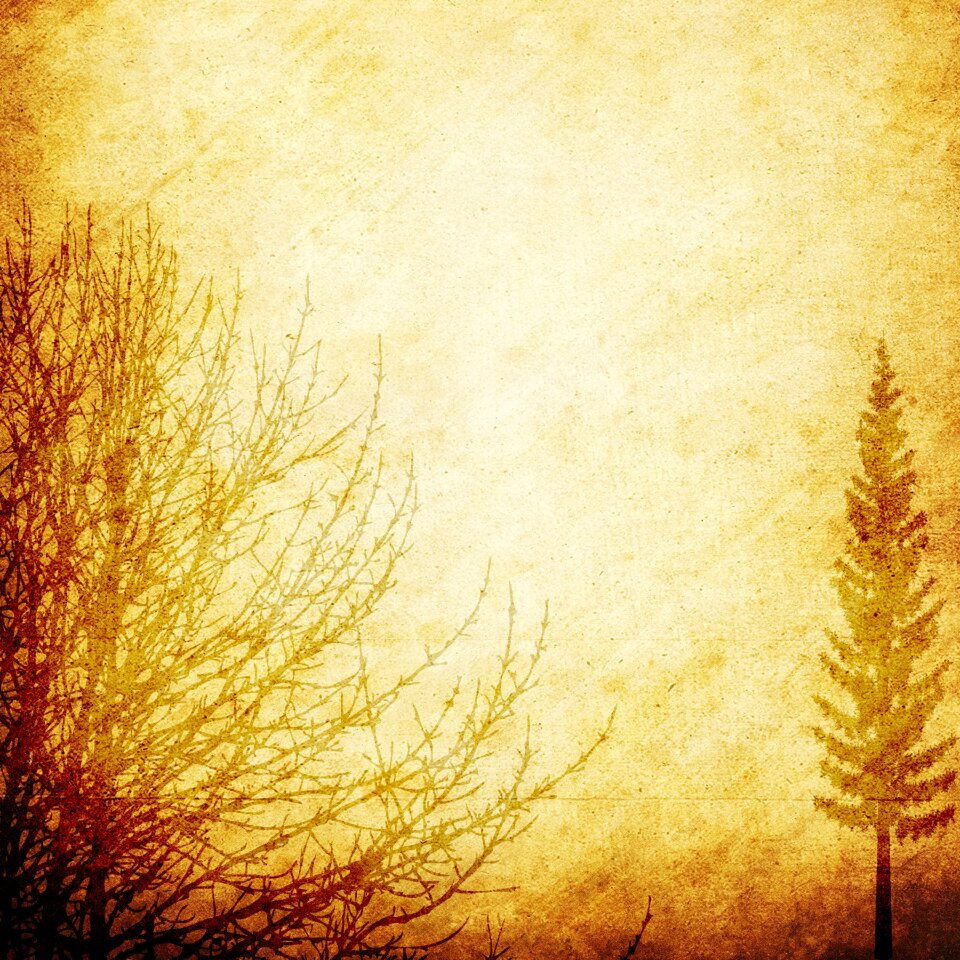 Scrapbook vintage texture