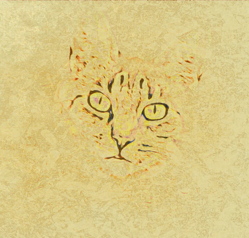 Drawing animal cat