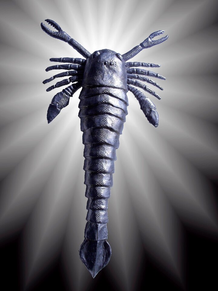 Extinct grey black