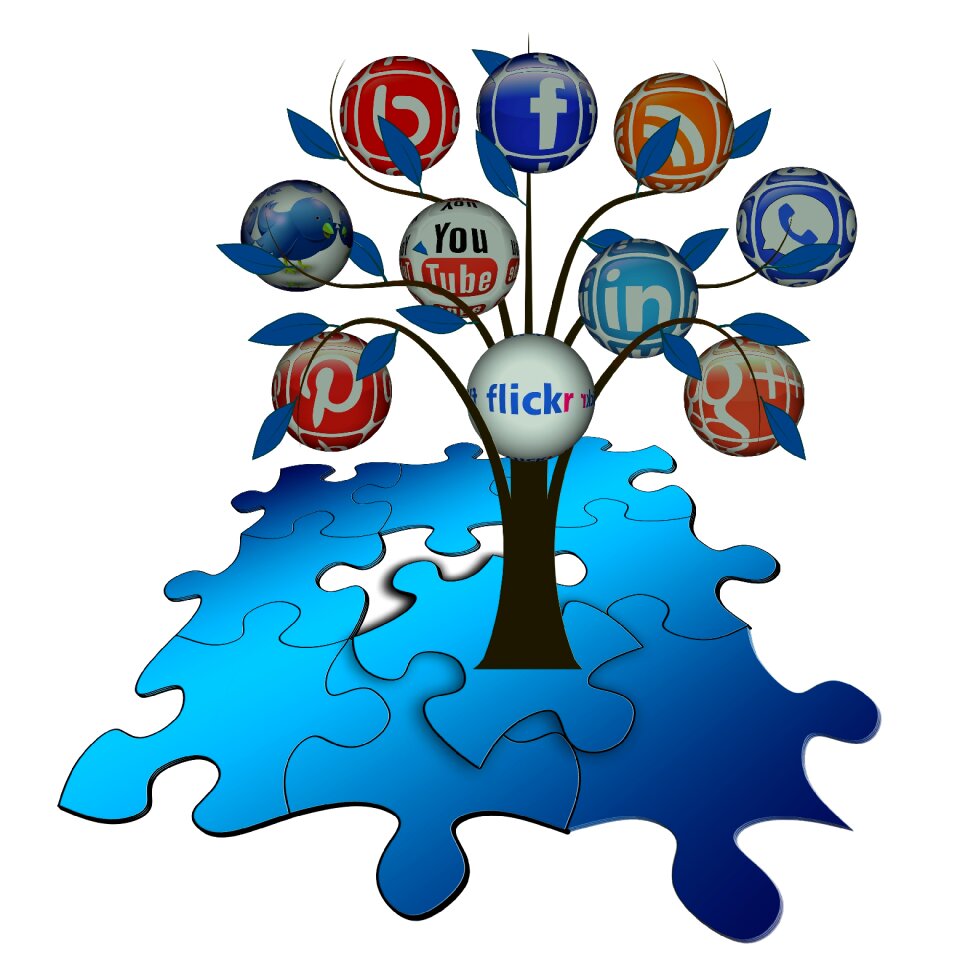 Structure networks internet