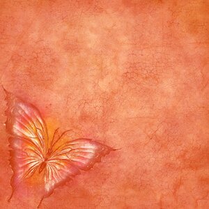 Texture scrapbook vintage