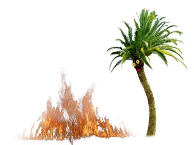 Fire flames outbreak
