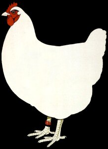 Bird white art