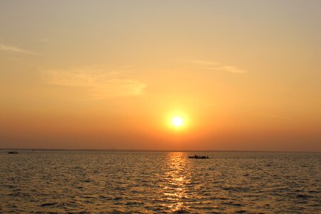 Sun nature summer