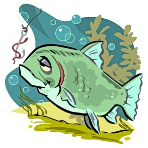 Bait water hobby