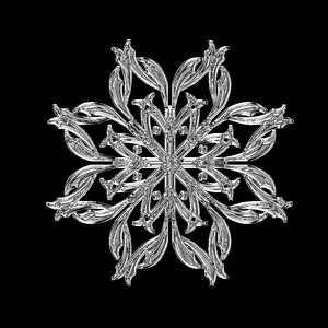 Frost fabric grid
