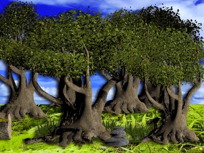 Landscape old grove of trees