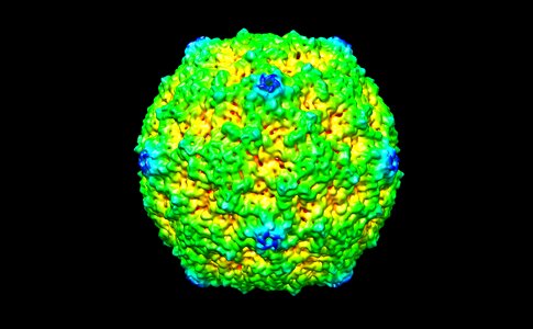 Rna 3d medical