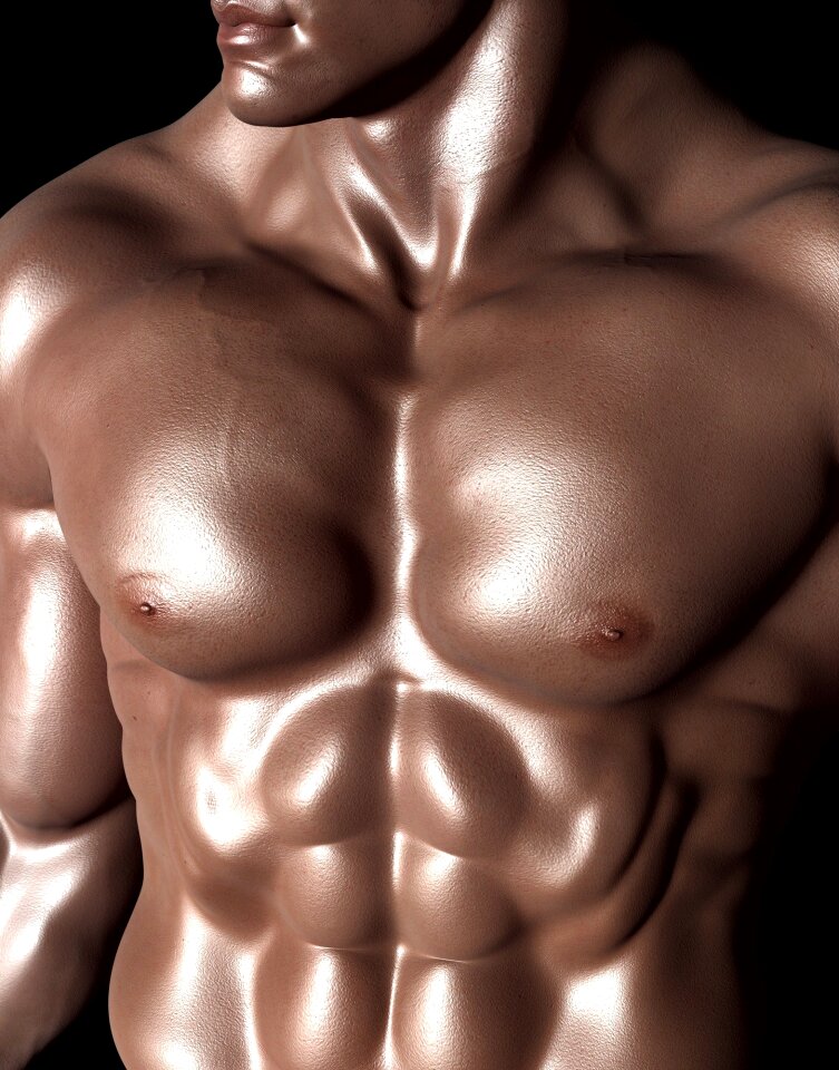 Body six pack muscles