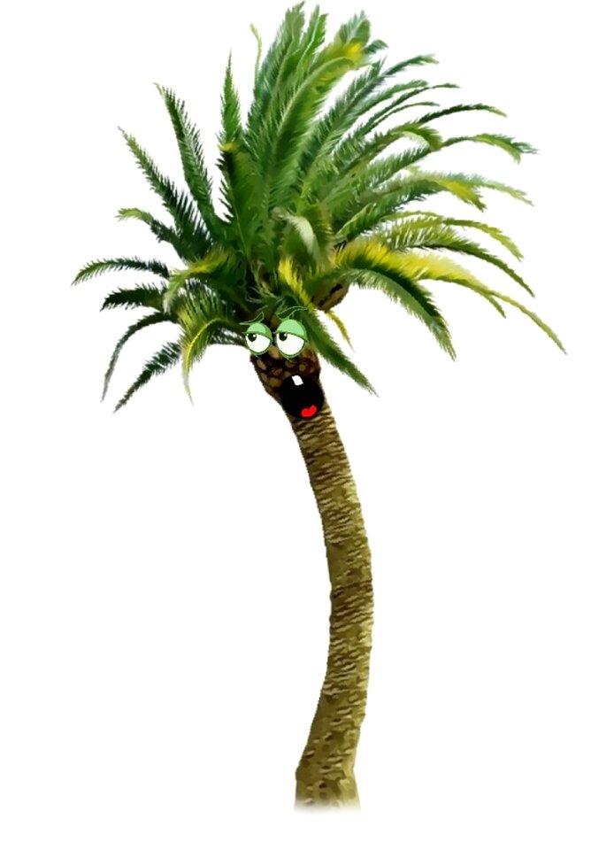 Funny palm green cry