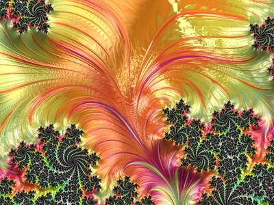 Art pattern curve
