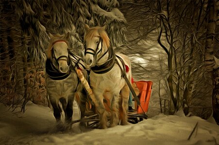 Winter white brown horse