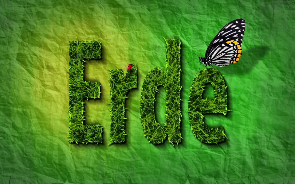 Background grass green