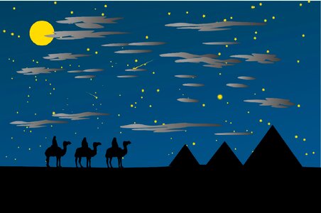 Camels star desert