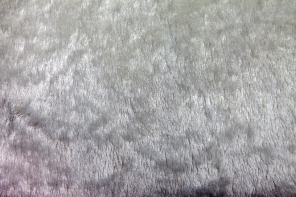 Artificial fur white Free illustrations