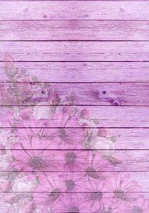 On wood blossom bloom