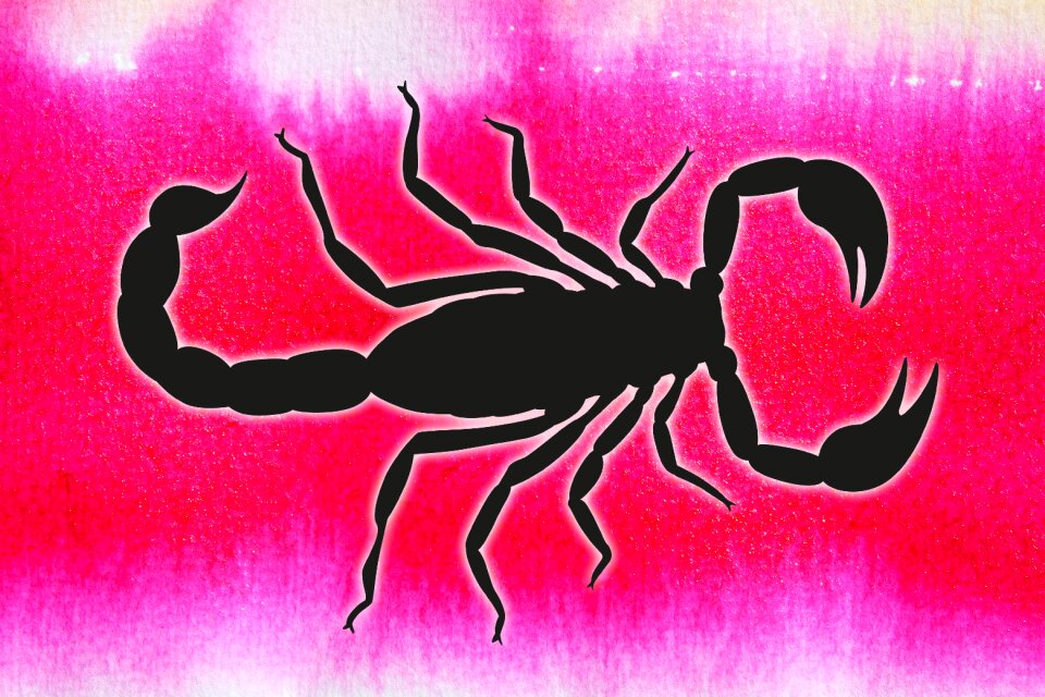 Nature animal risk