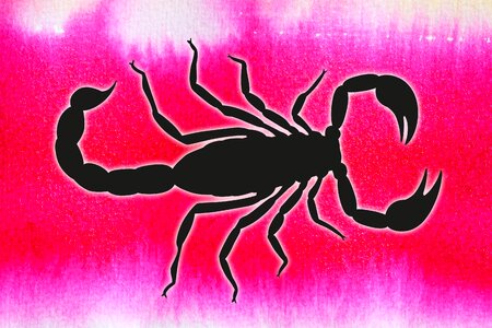 Nature animal risk