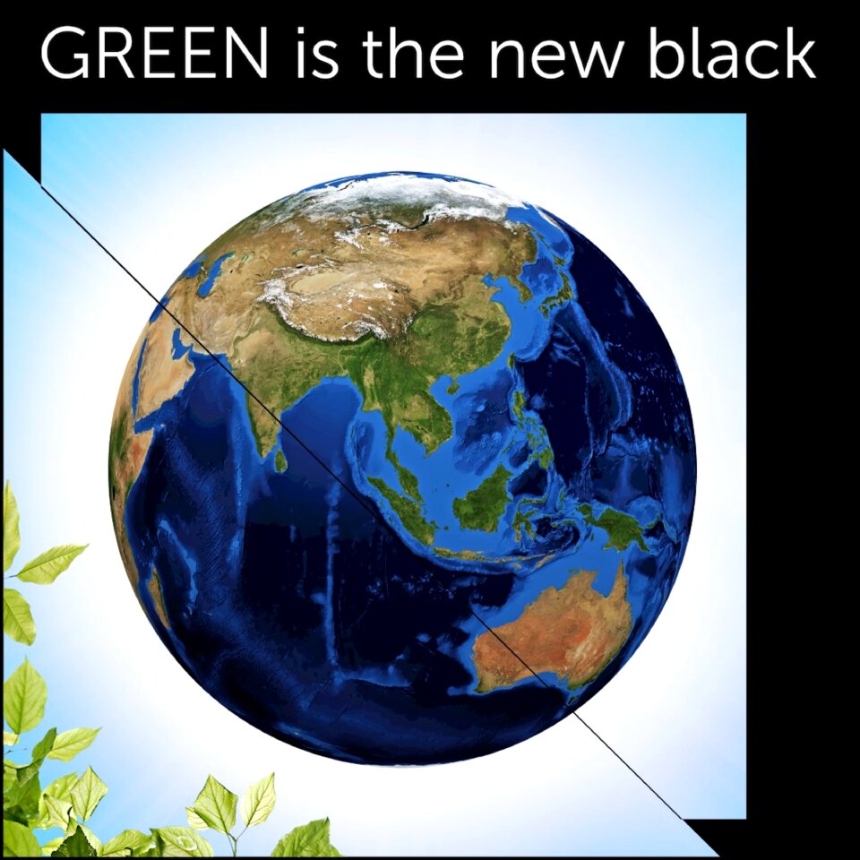 Protect the planet terrestrial globe planet