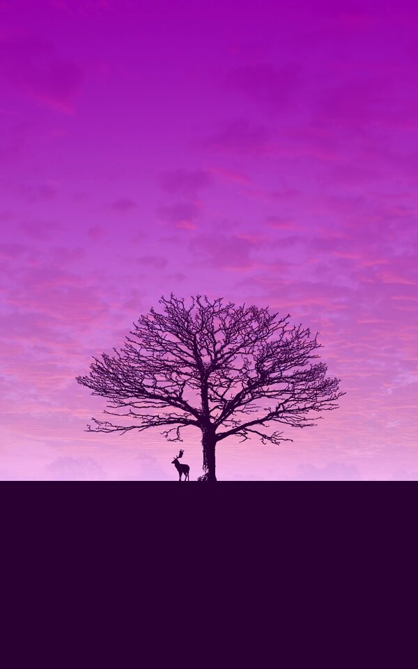 Deer sky silhouette