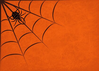Cobweb orange Free illustrations