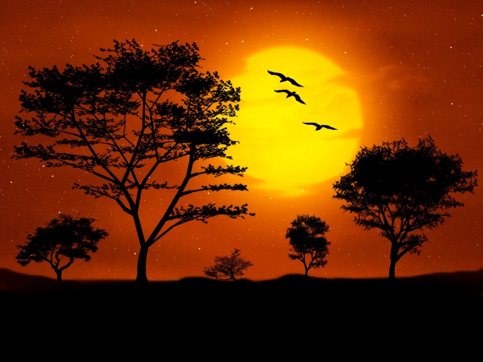 Artwork moon moonlight
